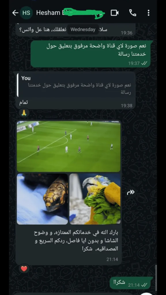 arab tv